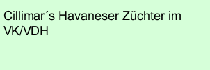Cillimar´s Havaneser Züchter im VK/VDH 